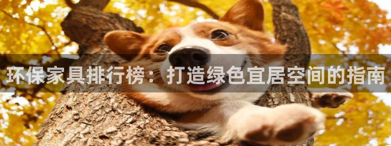 杏耀平台服务中心怎么样