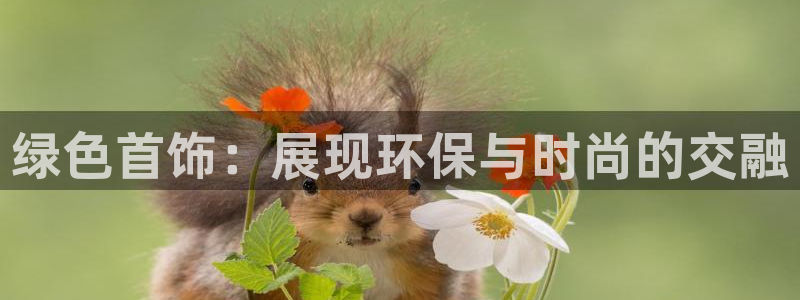 杏耀平台没有了