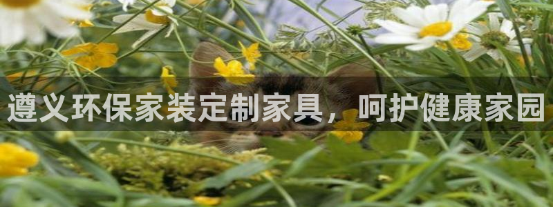 杏耀app怎样申请