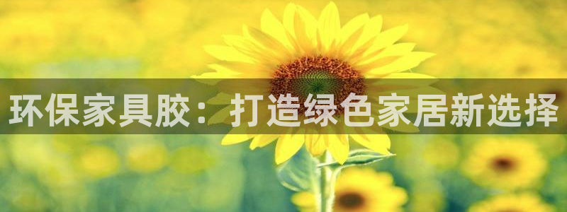 杏耀代理主管qq