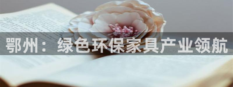 杏耀官网娱乐