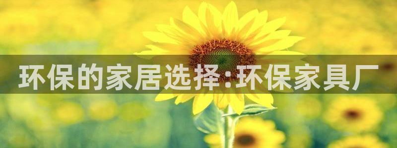 杏耀总代
