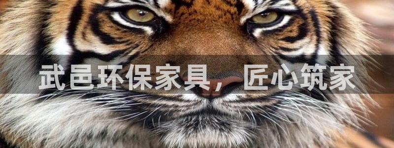 杏耀官网网站中心