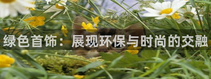 杏耀测速注册：绿色首饰：展现环保与时尚的交融