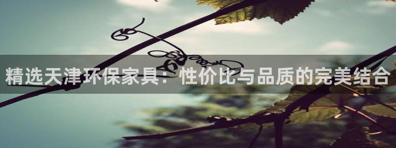 杏耀平台下载：精选天津环保家具：性价比与品质的完美结合