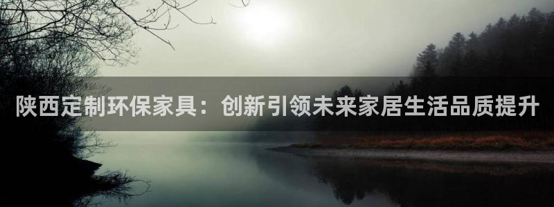 杏耀3代理：陕西定制环保家具：创新引领未来家居生活品质提升