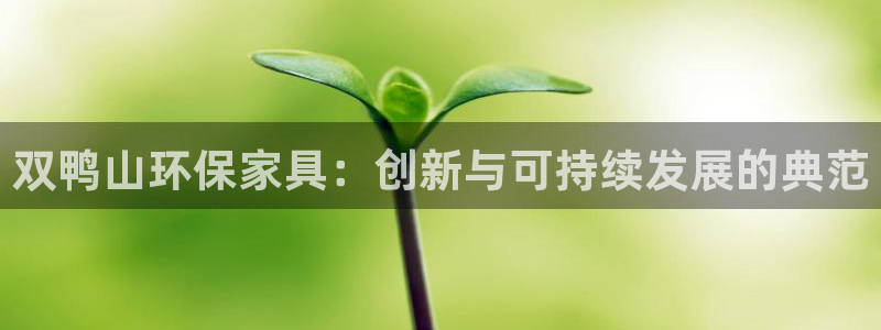 杏耀平台专用通道：双鸭山环保家具：创新与可持续发展的典范