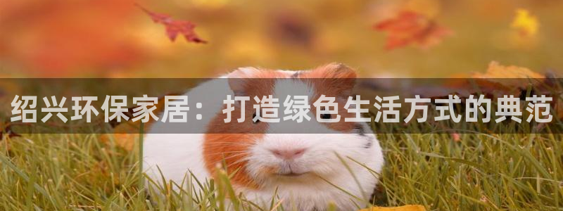 杏耀注册登入：绍兴环保家居：打造绿色生活方式的典范