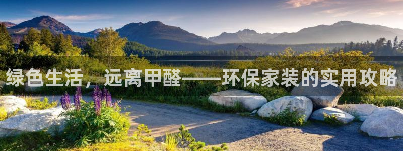 杏耀平台手机：绿色生活，远离甲醛——环保家装的实用攻略