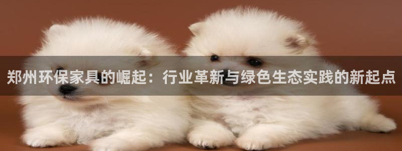 杏耀注册登录官网：郑州环保家具的崛起：行业革新与绿色生态实践