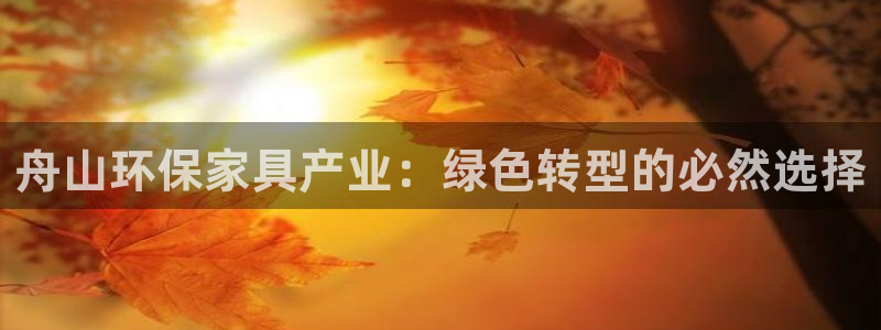 杏耀总代