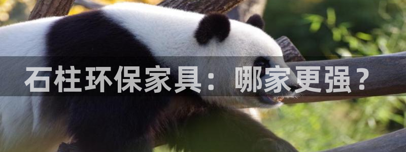 杏耀平台已7O777