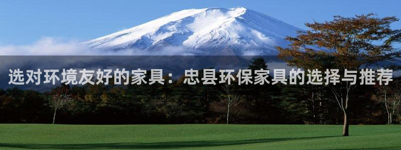 杏耀注册登录：选对环境友好的家具：忠县环保家具的选择与推荐
