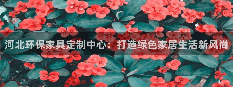 杏耀代理日工资多少