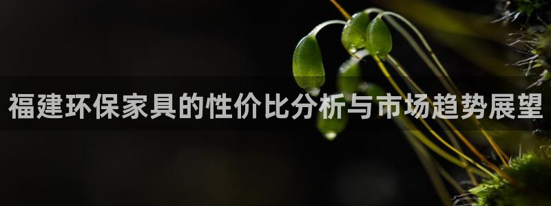 杏耀代理连接