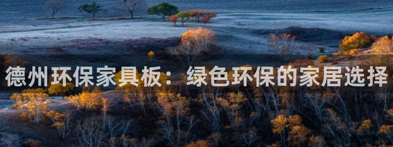 杏耀注册app：德州环保家具板：绿色环保的家居选择