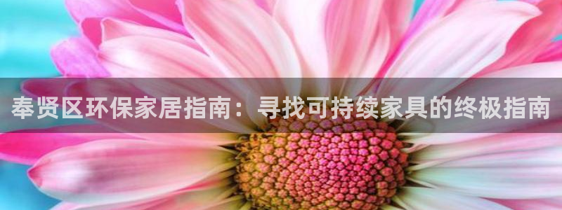 杏耀平台注册会员：奉贤区环保家居指南：寻找可持续家具的终极指