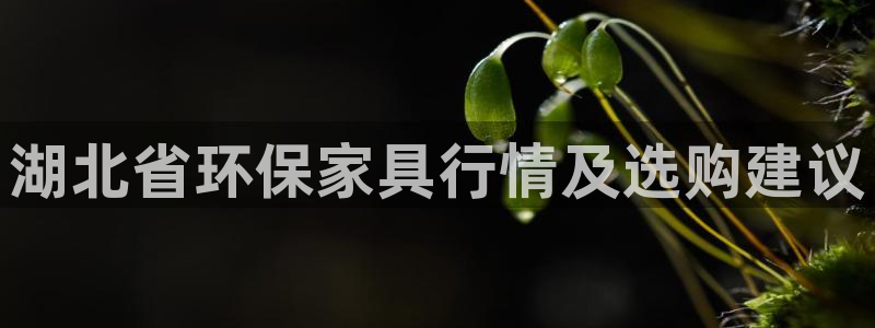 杏耀开户app下载