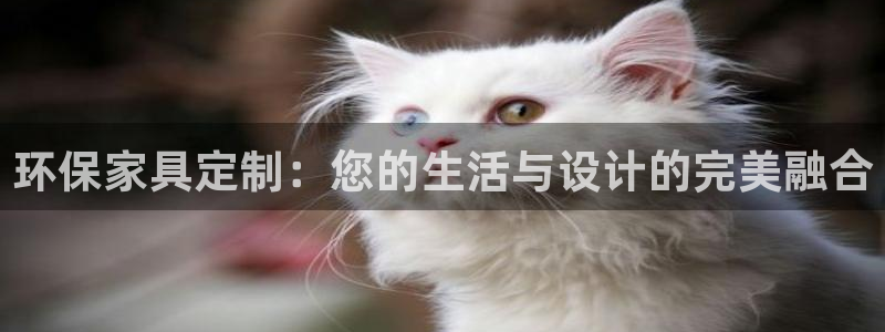 杏耀注册中心：环保家具定制：您的生活与设计的完美融合