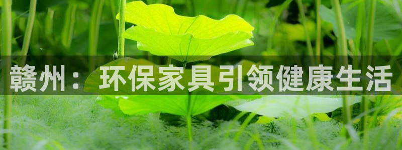 杏耀平台登陆测速：赣州：环保家具引领健康生活