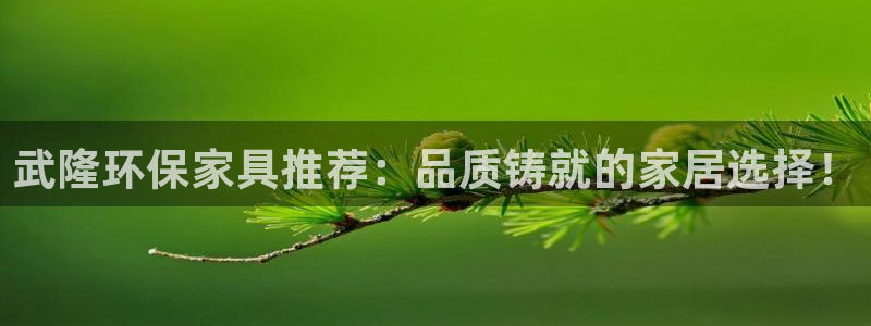 杏耀测速网址电脑版：武隆环保家具推荐：品质铸就的家居选择！