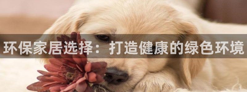 杏耀平台官方登陆